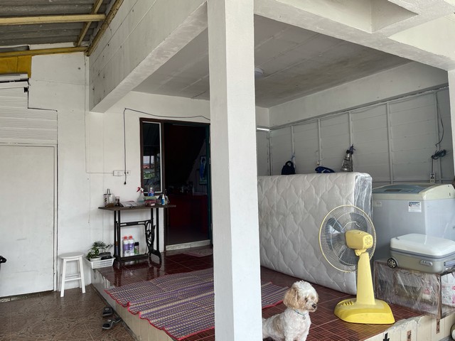 ประกาศฟรี! ซื้อ-ขาย-เช่า คอนโด บ้าน ทาวน์โฮม ที่ดิน และพื้นที่เชิงพาณิชย์ทั่วประเทศไทย ทุกทำเล ทุกงบประมาณ ไม่มีค่าใช้จ่าย ลงง่าย ขายไว เข้าถึงผู้ซื้อโดยตรง 4 294333pic3.jpg