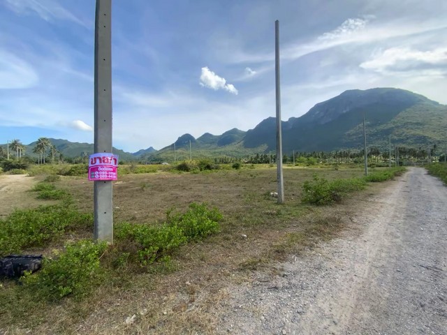 ประกาศฟรี! ซื้อ-ขาย-เช่า คอนโด บ้าน ทาวน์โฮม ที่ดิน และพื้นที่เชิงพาณิชย์ทั่วประเทศไทย ทุกทำเล ทุกงบประมาณ ไม่มีค่าใช้จ่าย ลงง่าย ขายไว เข้าถึงผู้ซื้อโดยตรง 2 257133pic1.jpg