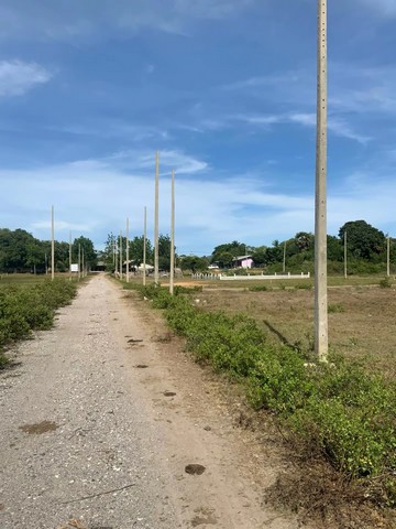 ประกาศฟรี! ซื้อ-ขาย-เช่า คอนโด บ้าน ทาวน์โฮม ที่ดิน และพื้นที่เชิงพาณิชย์ทั่วประเทศไทย ทุกทำเล ทุกงบประมาณ ไม่มีค่าใช้จ่าย ลงง่าย ขายไว เข้าถึงผู้ซื้อโดยตรง 3 257133pic2.jpg