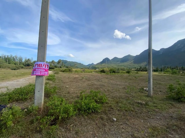 ประกาศฟรี! ซื้อ-ขาย-เช่า คอนโด บ้าน ทาวน์โฮม ที่ดิน และพื้นที่เชิงพาณิชย์ทั่วประเทศไทย ทุกทำเล ทุกงบประมาณ ไม่มีค่าใช้จ่าย ลงง่าย ขายไว เข้าถึงผู้ซื้อโดยตรง 5 257133pic4.jpg