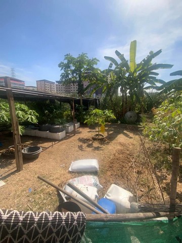 ประกาศฟรี! ซื้อ-ขาย-เช่า คอนโด บ้าน ทาวน์โฮม ที่ดิน และพื้นที่เชิงพาณิชย์ทั่วประเทศไทย ทุกทำเล ทุกงบประมาณ ไม่มีค่าใช้จ่าย ลงง่าย ขายไว เข้าถึงผู้ซื้อโดยตรง 4 257132pic3.jpg