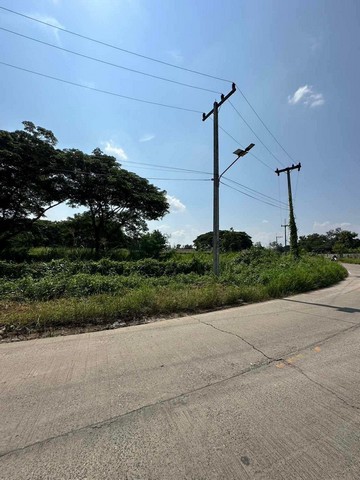 ประกาศฟรี! ซื้อ-ขาย-เช่า คอนโด บ้าน ทาวน์โฮม ที่ดิน และพื้นที่เชิงพาณิชย์ทั่วประเทศไทย ทุกทำเล ทุกงบประมาณ ไม่มีค่าใช้จ่าย ลงง่าย ขายไว เข้าถึงผู้ซื้อโดยตรง 4 257147pic3.jpg