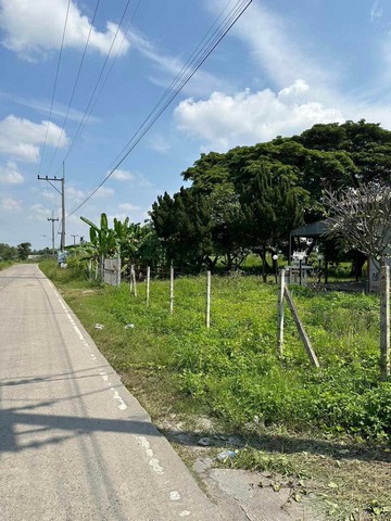 ประกาศฟรี! ซื้อ-ขาย-เช่า คอนโด บ้าน ทาวน์โฮม ที่ดิน และพื้นที่เชิงพาณิชย์ทั่วประเทศไทย ทุกทำเล ทุกงบประมาณ ไม่มีค่าใช้จ่าย ลงง่าย ขายไว เข้าถึงผู้ซื้อโดยตรง 5 257147pic4.jpg