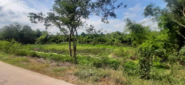 ประกาศฟรี! ซื้อ-ขาย-เช่า คอนโด บ้าน ทาวน์โฮม ที่ดิน และพื้นที่เชิงพาณิชย์ทั่วประเทศไทย ทุกทำเล ทุกงบประมาณ ไม่มีค่าใช้จ่าย ลงง่าย ขายไว เข้าถึงผู้ซื้อโดยตรง 5 257151pic4.jpg