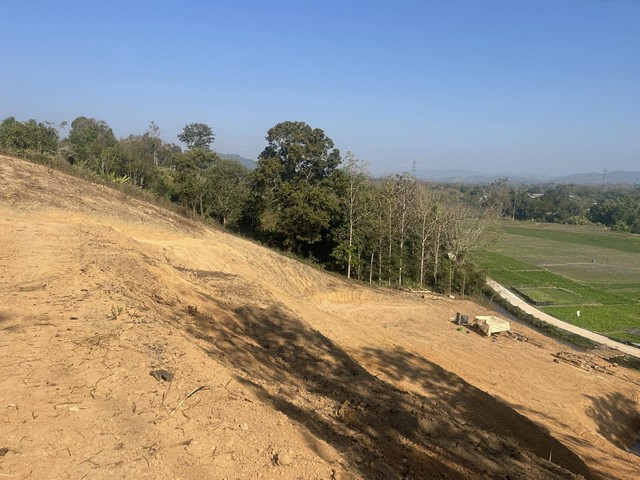 ประกาศฟรี! ซื้อ-ขาย-เช่า คอนโด บ้าน ทาวน์โฮม ที่ดิน และพื้นที่เชิงพาณิชย์ทั่วประเทศไทย ทุกทำเล ทุกงบประมาณ ไม่มีค่าใช้จ่าย ลงง่าย ขายไว เข้าถึงผู้ซื้อโดยตรง 3 294339pic2.jpg