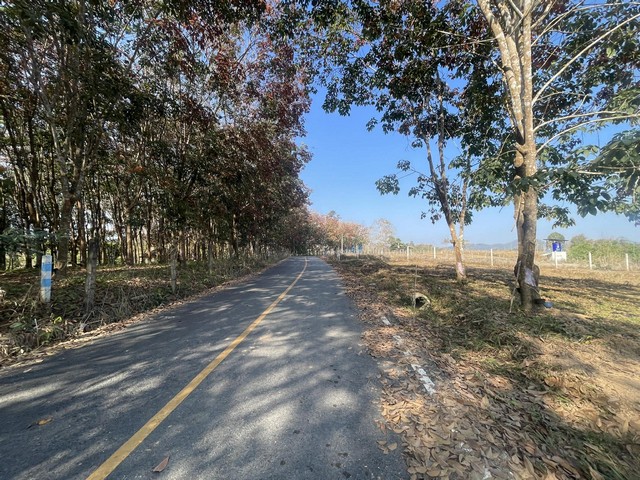 ประกาศฟรี! ซื้อ-ขาย-เช่า คอนโด บ้าน ทาวน์โฮม ที่ดิน และพื้นที่เชิงพาณิชย์ทั่วประเทศไทย ทุกทำเล ทุกงบประมาณ ไม่มีค่าใช้จ่าย ลงง่าย ขายไว เข้าถึงผู้ซื้อโดยตรง 5 294339pic4.jpg