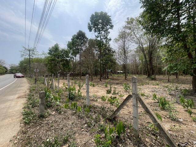 ประกาศฟรี! ซื้อ-ขาย-เช่า คอนโด บ้าน ทาวน์โฮม ที่ดิน และพื้นที่เชิงพาณิชย์ทั่วประเทศไทย ทุกทำเล ทุกงบประมาณ ไม่มีค่าใช้จ่าย ลงง่าย ขายไว เข้าถึงผู้ซื้อโดยตรง 2 294337pic1.jpg