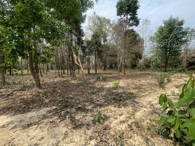 ประกาศฟรี! ซื้อ-ขาย-เช่า คอนโด บ้าน ทาวน์โฮม ที่ดิน และพื้นที่เชิงพาณิชย์ทั่วประเทศไทย ทุกทำเล ทุกงบประมาณ ไม่มีค่าใช้จ่าย ลงง่าย ขายไว เข้าถึงผู้ซื้อโดยตรง 3 294337pic2.jpg