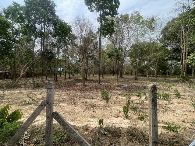 ประกาศฟรี! ซื้อ-ขาย-เช่า คอนโด บ้าน ทาวน์โฮม ที่ดิน และพื้นที่เชิงพาณิชย์ทั่วประเทศไทย ทุกทำเล ทุกงบประมาณ ไม่มีค่าใช้จ่าย ลงง่าย ขายไว เข้าถึงผู้ซื้อโดยตรง 4 294337pic3.jpg