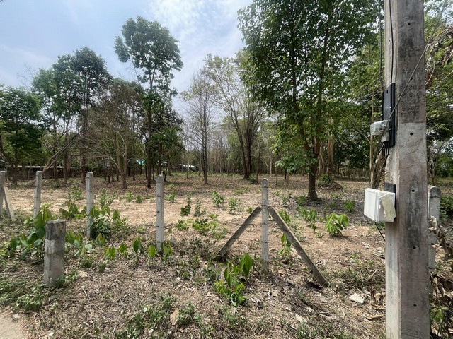 ประกาศฟรี! ซื้อ-ขาย-เช่า คอนโด บ้าน ทาวน์โฮม ที่ดิน และพื้นที่เชิงพาณิชย์ทั่วประเทศไทย ทุกทำเล ทุกงบประมาณ ไม่มีค่าใช้จ่าย ลงง่าย ขายไว เข้าถึงผู้ซื้อโดยตรง 5 294337pic4.jpg