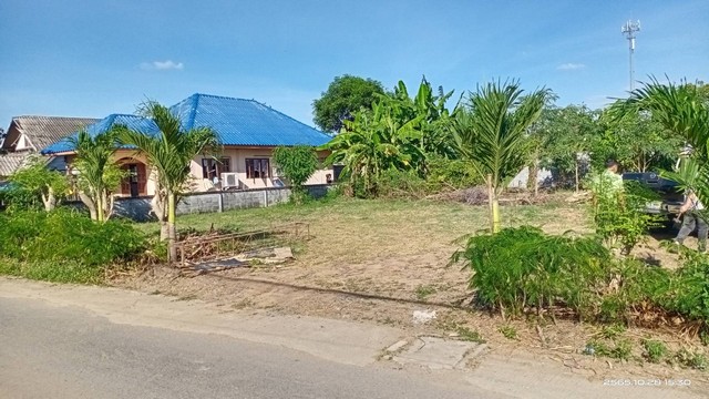 ประกาศฟรี! ซื้อ-ขาย-เช่า คอนโด บ้าน ทาวน์โฮม ที่ดิน และพื้นที่เชิงพาณิชย์ทั่วประเทศไทย ทุกทำเล ทุกงบประมาณ ไม่มีค่าใช้จ่าย ลงง่าย ขายไว เข้าถึงผู้ซื้อโดยตรง 3 316991pic2.jpg