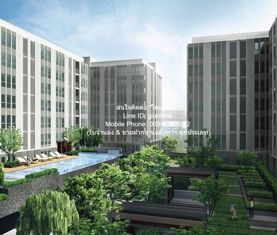 ประกาศฟรี! ซื้อ-ขาย-เช่า คอนโด บ้าน ทาวน์โฮม ที่ดิน และพื้นที่เชิงพาณิชย์ทั่วประเทศไทย ทุกทำเล ทุกงบประมาณ ไม่มีค่าใช้จ่าย ลงง่าย ขายไว เข้าถึงผู้ซื้อโดยตรง 2 317013pic1.jpg