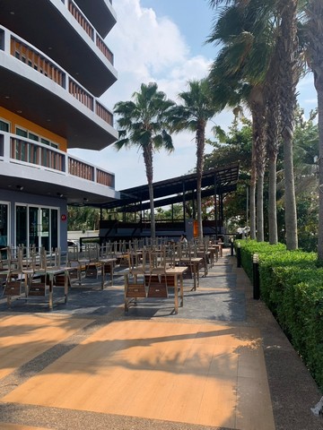 ประกาศฟรี! ซื้อ-ขาย-เช่า คอนโด บ้าน ทาวน์โฮม ที่ดิน และพื้นที่เชิงพาณิชย์ทั่วประเทศไทย ทุกทำเล ทุกงบประมาณ ไม่มีค่าใช้จ่าย ลงง่าย ขายไว เข้าถึงผู้ซื้อโดยตรง 4 317064pic3.jpg