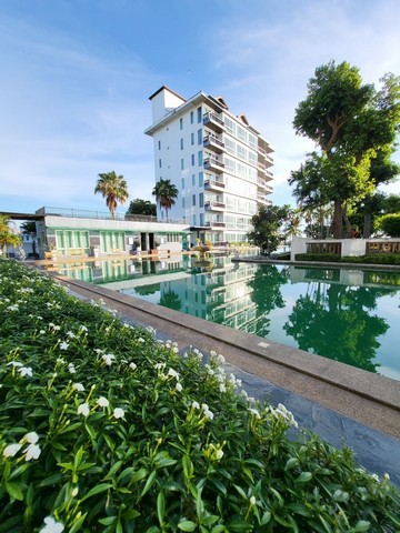 ประกาศฟรี! ซื้อ-ขาย-เช่า คอนโด บ้าน ทาวน์โฮม ที่ดิน และพื้นที่เชิงพาณิชย์ทั่วประเทศไทย ทุกทำเล ทุกงบประมาณ ไม่มีค่าใช้จ่าย ลงง่าย ขายไว เข้าถึงผู้ซื้อโดยตรง 5 317064pic4.jpg