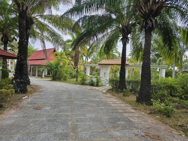 ประกาศฟรี! ซื้อ-ขาย-เช่า คอนโด บ้าน ทาวน์โฮม ที่ดิน และพื้นที่เชิงพาณิชย์ทั่วประเทศไทย ทุกทำเล ทุกงบประมาณ ไม่มีค่าใช้จ่าย ลงง่าย ขายไว เข้าถึงผู้ซื้อโดยตรง 5 317077pic4.jpg