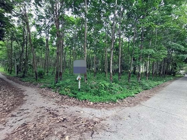 ประกาศฟรี! ซื้อ-ขาย-เช่า คอนโด บ้าน ทาวน์โฮม ที่ดิน และพื้นที่เชิงพาณิชย์ทั่วประเทศไทย ทุกทำเล ทุกงบประมาณ ไม่มีค่าใช้จ่าย ลงง่าย ขายไว เข้าถึงผู้ซื้อโดยตรง 2 256788pic1.jpg