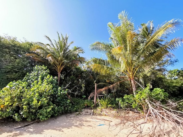 ประกาศฟรี! ซื้อ-ขาย-เช่า คอนโด บ้าน ทาวน์โฮม ที่ดิน และพื้นที่เชิงพาณิชย์ทั่วประเทศไทย ทุกทำเล ทุกงบประมาณ ไม่มีค่าใช้จ่าย ลงง่าย ขายไว เข้าถึงผู้ซื้อโดยตรง 4 256788pic3.jpg