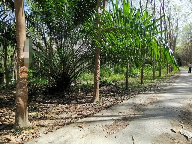 ประกาศฟรี! ซื้อ-ขาย-เช่า คอนโด บ้าน ทาวน์โฮม ที่ดิน และพื้นที่เชิงพาณิชย์ทั่วประเทศไทย ทุกทำเล ทุกงบประมาณ ไม่มีค่าใช้จ่าย ลงง่าย ขายไว เข้าถึงผู้ซื้อโดยตรง 5 256788pic4.jpg