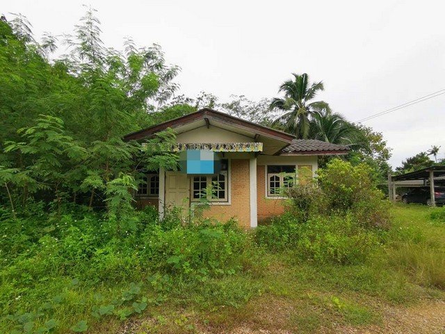 ประกาศฟรี! ซื้อ-ขาย-เช่า คอนโด บ้าน ทาวน์โฮม ที่ดิน และพื้นที่เชิงพาณิชย์ทั่วประเทศไทย ทุกทำเล ทุกงบประมาณ ไม่มีค่าใช้จ่าย ลงง่าย ขายไว เข้าถึงผู้ซื้อโดยตรง 2 256784pic1.jpg