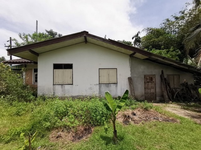 ประกาศฟรี! ซื้อ-ขาย-เช่า คอนโด บ้าน ทาวน์โฮม ที่ดิน และพื้นที่เชิงพาณิชย์ทั่วประเทศไทย ทุกทำเล ทุกงบประมาณ ไม่มีค่าใช้จ่าย ลงง่าย ขายไว เข้าถึงผู้ซื้อโดยตรง 3 256784pic2.jpg