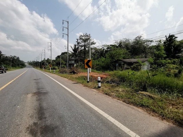 ประกาศฟรี! ซื้อ-ขาย-เช่า คอนโด บ้าน ทาวน์โฮม ที่ดิน และพื้นที่เชิงพาณิชย์ทั่วประเทศไทย ทุกทำเล ทุกงบประมาณ ไม่มีค่าใช้จ่าย ลงง่าย ขายไว เข้าถึงผู้ซื้อโดยตรง 5 256784pic4.jpg