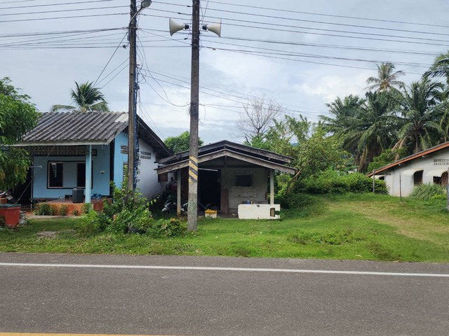 ประกาศฟรี! ซื้อ-ขาย-เช่า คอนโด บ้าน ทาวน์โฮม ที่ดิน และพื้นที่เชิงพาณิชย์ทั่วประเทศไทย ทุกทำเล ทุกงบประมาณ ไม่มีค่าใช้จ่าย ลงง่าย ขายไว เข้าถึงผู้ซื้อโดยตรง 2 256782pic1.jpg