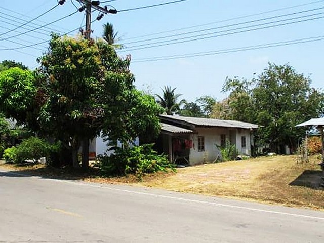 ประกาศฟรี! ซื้อ-ขาย-เช่า คอนโด บ้าน ทาวน์โฮม ที่ดิน และพื้นที่เชิงพาณิชย์ทั่วประเทศไทย ทุกทำเล ทุกงบประมาณ ไม่มีค่าใช้จ่าย ลงง่าย ขายไว เข้าถึงผู้ซื้อโดยตรง 4 256782pic3.jpg