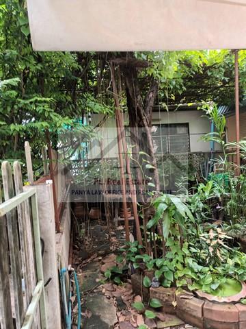 ประกาศฟรี! ซื้อ-ขาย-เช่า คอนโด บ้าน ทาวน์โฮม ที่ดิน และพื้นที่เชิงพาณิชย์ทั่วประเทศไทย ทุกทำเล ทุกงบประมาณ ไม่มีค่าใช้จ่าย ลงง่าย ขายไว เข้าถึงผู้ซื้อโดยตรง 5 517981pic4.jpg