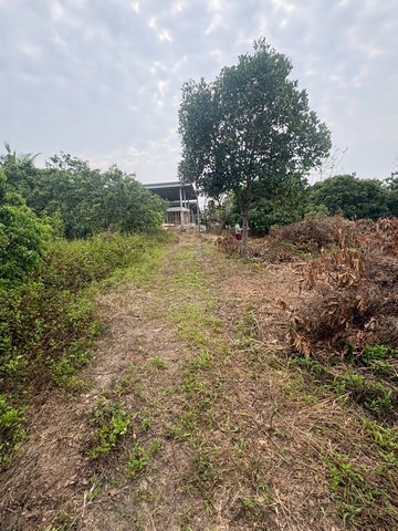 ประกาศฟรี! ซื้อ-ขาย-เช่า คอนโด บ้าน ทาวน์โฮม ที่ดิน และพื้นที่เชิงพาณิชย์ทั่วประเทศไทย ทุกทำเล ทุกงบประมาณ ไม่มีค่าใช้จ่าย ลงง่าย ขายไว เข้าถึงผู้ซื้อโดยตรง 2 294346pic1.jpg