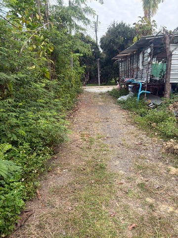 ประกาศฟรี! ซื้อ-ขาย-เช่า คอนโด บ้าน ทาวน์โฮม ที่ดิน และพื้นที่เชิงพาณิชย์ทั่วประเทศไทย ทุกทำเล ทุกงบประมาณ ไม่มีค่าใช้จ่าย ลงง่าย ขายไว เข้าถึงผู้ซื้อโดยตรง 3 294346pic2.jpg