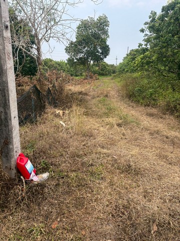 ประกาศฟรี! ซื้อ-ขาย-เช่า คอนโด บ้าน ทาวน์โฮม ที่ดิน และพื้นที่เชิงพาณิชย์ทั่วประเทศไทย ทุกทำเล ทุกงบประมาณ ไม่มีค่าใช้จ่าย ลงง่าย ขายไว เข้าถึงผู้ซื้อโดยตรง 5 294346pic4.jpg