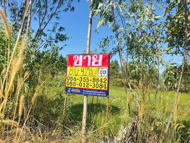 ประกาศฟรี! ซื้อ-ขาย-เช่า คอนโด บ้าน ทาวน์โฮม ที่ดิน และพื้นที่เชิงพาณิชย์ทั่วประเทศไทย ทุกทำเล ทุกงบประมาณ ไม่มีค่าใช้จ่าย ลงง่าย ขายไว เข้าถึงผู้ซื้อโดยตรง 2 516870pic1.jpg