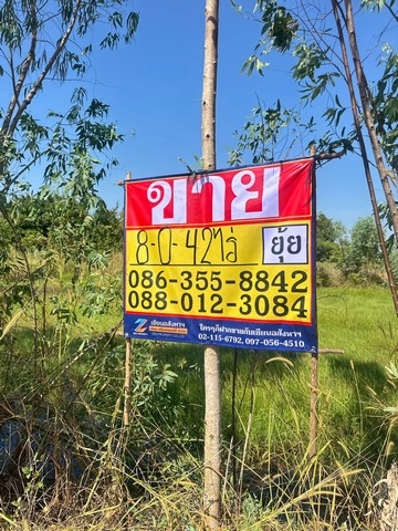 ประกาศฟรี! ซื้อ-ขาย-เช่า คอนโด บ้าน ทาวน์โฮม ที่ดิน และพื้นที่เชิงพาณิชย์ทั่วประเทศไทย ทุกทำเล ทุกงบประมาณ ไม่มีค่าใช้จ่าย ลงง่าย ขายไว เข้าถึงผู้ซื้อโดยตรง 5 516870pic4.jpg