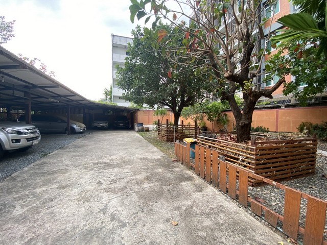 ประกาศฟรี! ซื้อ-ขาย-เช่า คอนโด บ้าน ทาวน์โฮม ที่ดิน และพื้นที่เชิงพาณิชย์ทั่วประเทศไทย ทุกทำเล ทุกงบประมาณ ไม่มีค่าใช้จ่าย ลงง่าย ขายไว เข้าถึงผู้ซื้อโดยตรง 5 317112pic4.jpg