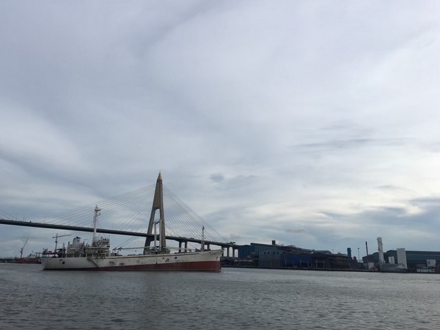 ประกาศฟรี! ซื้อ-ขาย-เช่า คอนโด บ้าน ทาวน์โฮม ที่ดิน และพื้นที่เชิงพาณิชย์ทั่วประเทศไทย ทุกทำเล ทุกงบประมาณ ไม่มีค่าใช้จ่าย ลงง่าย ขายไว เข้าถึงผู้ซื้อโดยตรง 2 317111pic1.jpg