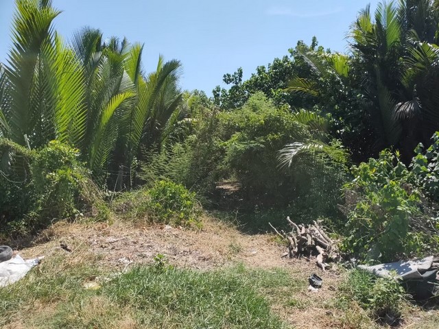 ประกาศฟรี! ซื้อ-ขาย-เช่า คอนโด บ้าน ทาวน์โฮม ที่ดิน และพื้นที่เชิงพาณิชย์ทั่วประเทศไทย ทุกทำเล ทุกงบประมาณ ไม่มีค่าใช้จ่าย ลงง่าย ขายไว เข้าถึงผู้ซื้อโดยตรง 3 317111pic2.jpg