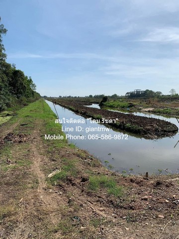 ประกาศฟรี! ซื้อ-ขาย-เช่า คอนโด บ้าน ทาวน์โฮม ที่ดิน และพื้นที่เชิงพาณิชย์ทั่วประเทศไทย ทุกทำเล ทุกงบประมาณ ไม่มีค่าใช้จ่าย ลงง่าย ขายไว เข้าถึงผู้ซื้อโดยตรง 4 15155pic3.jpg