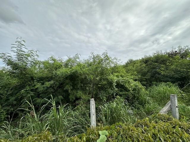 ประกาศฟรี! ซื้อ-ขาย-เช่า คอนโด บ้าน ทาวน์โฮม ที่ดิน และพื้นที่เชิงพาณิชย์ทั่วประเทศไทย ทุกทำเล ทุกงบประมาณ ไม่มีค่าใช้จ่าย ลงง่าย ขายไว เข้าถึงผู้ซื้อโดยตรง 5 273739pic4.jpg