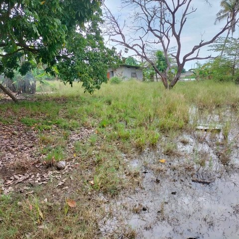 ประกาศฟรี! ซื้อ-ขาย-เช่า คอนโด บ้าน ทาวน์โฮม ที่ดิน และพื้นที่เชิงพาณิชย์ทั่วประเทศไทย ทุกทำเล ทุกงบประมาณ ไม่มีค่าใช้จ่าย ลงง่าย ขายไว เข้าถึงผู้ซื้อโดยตรง 4 257322pic3.jpg