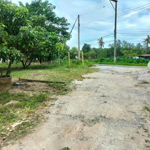 ประกาศฟรี! ซื้อ-ขาย-เช่า คอนโด บ้าน ทาวน์โฮม ที่ดิน และพื้นที่เชิงพาณิชย์ทั่วประเทศไทย ทุกทำเล ทุกงบประมาณ ไม่มีค่าใช้จ่าย ลงง่าย ขายไว เข้าถึงผู้ซื้อโดยตรง 5 257322pic4.jpg