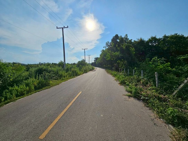 ประกาศฟรี! ซื้อ-ขาย-เช่า คอนโด บ้าน ทาวน์โฮม ที่ดิน และพื้นที่เชิงพาณิชย์ทั่วประเทศไทย ทุกทำเล ทุกงบประมาณ ไม่มีค่าใช้จ่าย ลงง่าย ขายไว เข้าถึงผู้ซื้อโดยตรง 3 317131pic2.jpg