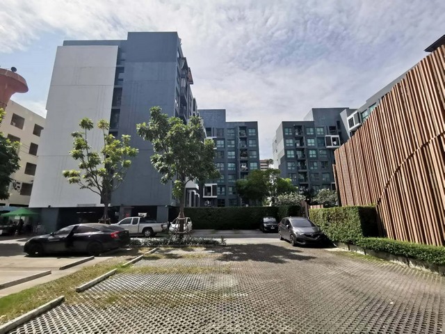 ประกาศฟรี! ซื้อ-ขาย-เช่า คอนโด บ้าน ทาวน์โฮม ที่ดิน และพื้นที่เชิงพาณิชย์ทั่วประเทศไทย ทุกทำเล ทุกงบประมาณ ไม่มีค่าใช้จ่าย ลงง่าย ขายไว เข้าถึงผู้ซื้อโดยตรง 2 256986pic1.jpg