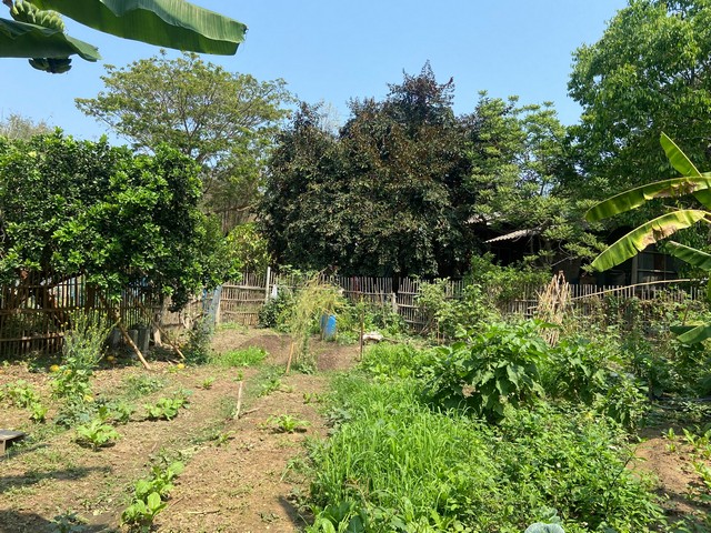 ประกาศฟรี! ซื้อ-ขาย-เช่า คอนโด บ้าน ทาวน์โฮม ที่ดิน และพื้นที่เชิงพาณิชย์ทั่วประเทศไทย ทุกทำเล ทุกงบประมาณ ไม่มีค่าใช้จ่าย ลงง่าย ขายไว เข้าถึงผู้ซื้อโดยตรง 2 272652pic1.jpg