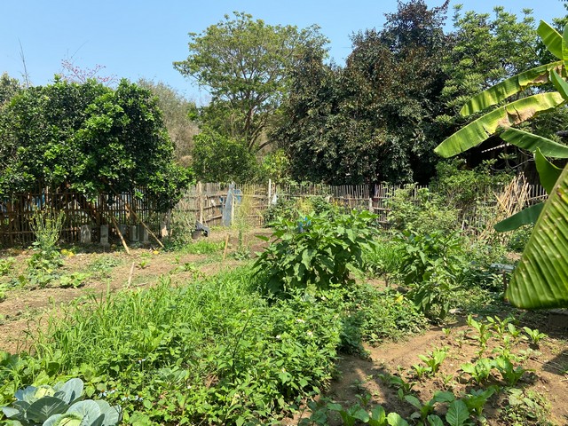 ประกาศฟรี! ซื้อ-ขาย-เช่า คอนโด บ้าน ทาวน์โฮม ที่ดิน และพื้นที่เชิงพาณิชย์ทั่วประเทศไทย ทุกทำเล ทุกงบประมาณ ไม่มีค่าใช้จ่าย ลงง่าย ขายไว เข้าถึงผู้ซื้อโดยตรง 3 272652pic2.jpg