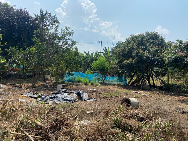 ประกาศฟรี! ซื้อ-ขาย-เช่า คอนโด บ้าน ทาวน์โฮม ที่ดิน และพื้นที่เชิงพาณิชย์ทั่วประเทศไทย ทุกทำเล ทุกงบประมาณ ไม่มีค่าใช้จ่าย ลงง่าย ขายไว เข้าถึงผู้ซื้อโดยตรง 4 272652pic3.jpg