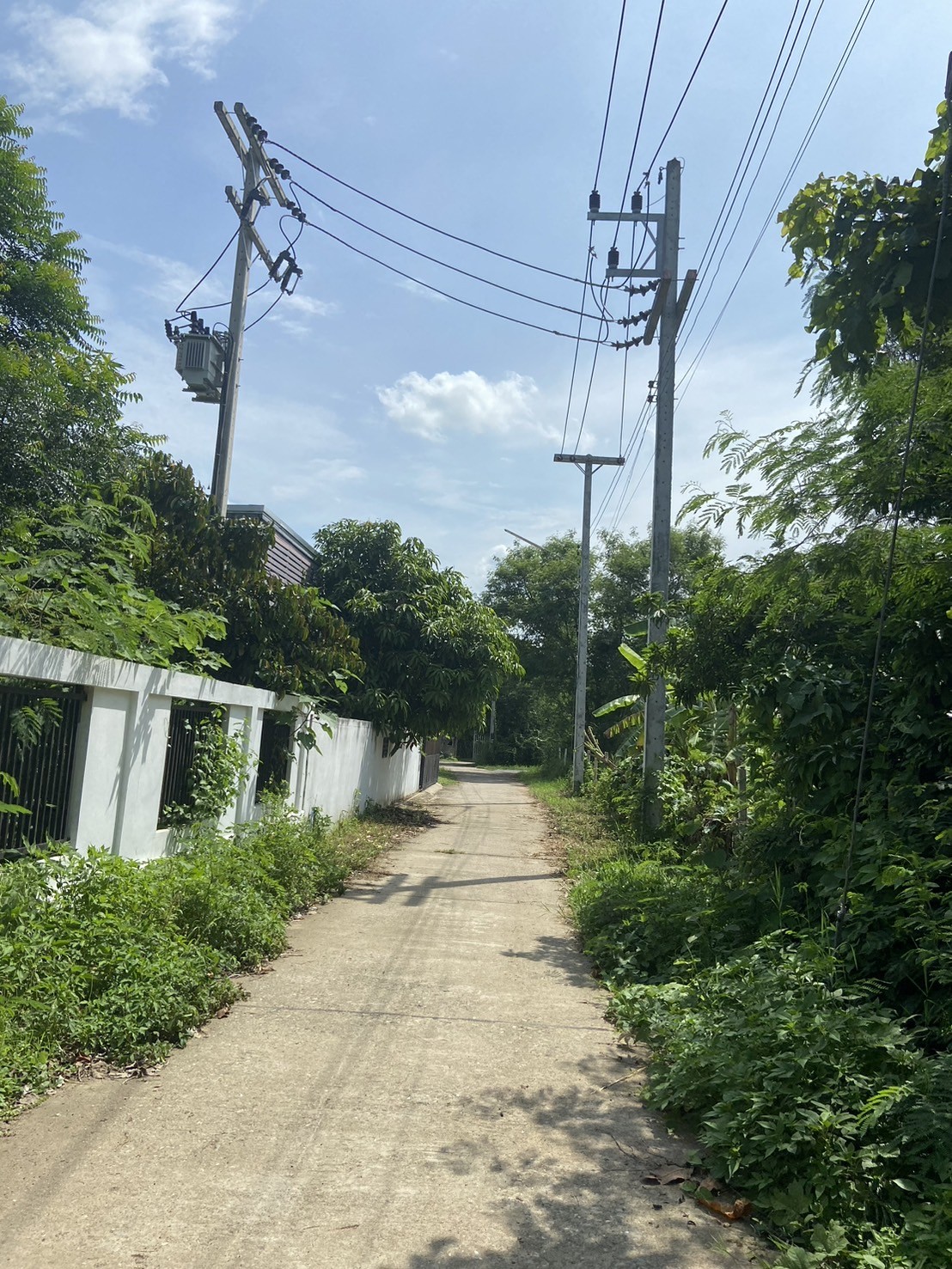 ประกาศฟรี! ซื้อ-ขาย-เช่า คอนโด บ้าน ทาวน์โฮม ที่ดิน และพื้นที่เชิงพาณิชย์ทั่วประเทศไทย ทุกทำเล ทุกงบประมาณ ไม่มีค่าใช้จ่าย ลงง่าย ขายไว เข้าถึงผู้ซื้อโดยตรง 5 272652pic4.jpg