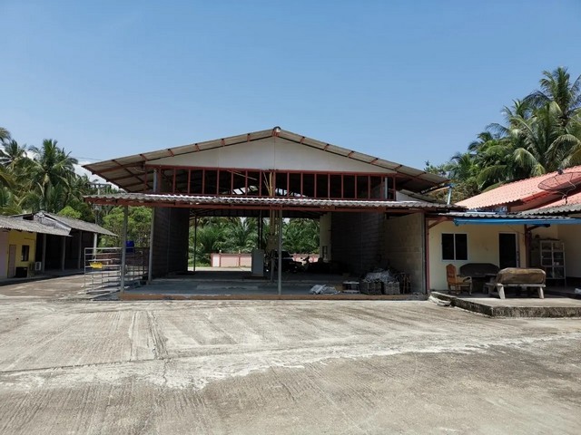 ประกาศฟรี! ซื้อ-ขาย-เช่า คอนโด บ้าน ทาวน์โฮม ที่ดิน และพื้นที่เชิงพาณิชย์ทั่วประเทศไทย ทุกทำเล ทุกงบประมาณ ไม่มีค่าใช้จ่าย ลงง่าย ขายไว เข้าถึงผู้ซื้อโดยตรง 2 256970pic1.jpg