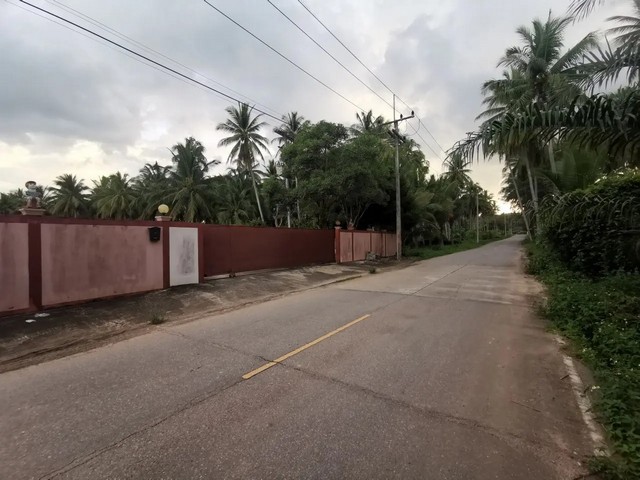 ประกาศฟรี! ซื้อ-ขาย-เช่า คอนโด บ้าน ทาวน์โฮม ที่ดิน และพื้นที่เชิงพาณิชย์ทั่วประเทศไทย ทุกทำเล ทุกงบประมาณ ไม่มีค่าใช้จ่าย ลงง่าย ขายไว เข้าถึงผู้ซื้อโดยตรง 3 256970pic2.jpg