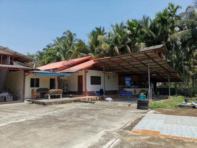 ประกาศฟรี! ซื้อ-ขาย-เช่า คอนโด บ้าน ทาวน์โฮม ที่ดิน และพื้นที่เชิงพาณิชย์ทั่วประเทศไทย ทุกทำเล ทุกงบประมาณ ไม่มีค่าใช้จ่าย ลงง่าย ขายไว เข้าถึงผู้ซื้อโดยตรง 4 256970pic3.jpg