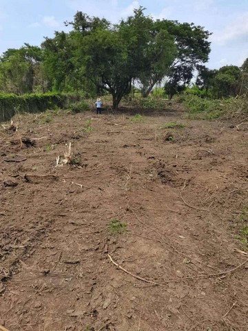 ประกาศฟรี! ซื้อ-ขาย-เช่า คอนโด บ้าน ทาวน์โฮม ที่ดิน และพื้นที่เชิงพาณิชย์ทั่วประเทศไทย ทุกทำเล ทุกงบประมาณ ไม่มีค่าใช้จ่าย ลงง่าย ขายไว เข้าถึงผู้ซื้อโดยตรง 3 257324pic2.jpg